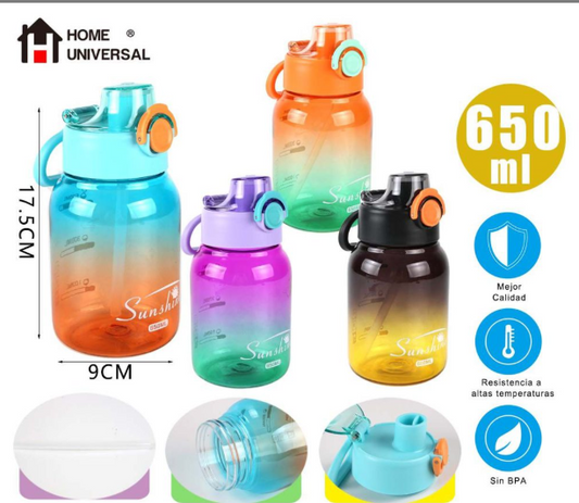 BOTELLA 650ML