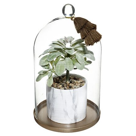 PLANTA CON CAMPANA BASE METAL SUITE 54