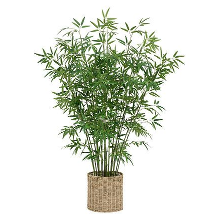 BAMB_ CON MACETA MATERIAL NATURAL  150 CM DE ALTO